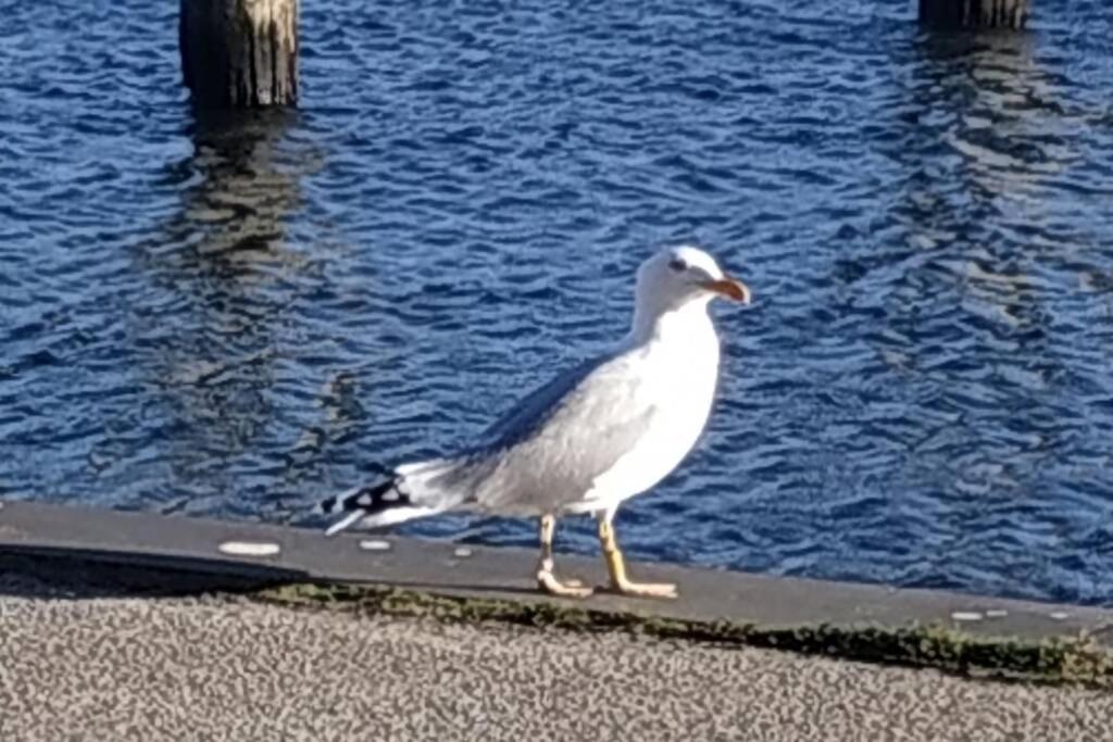 Traveloge Mit Schwimmbad Und Sauna Lübeck Kültér fotó
